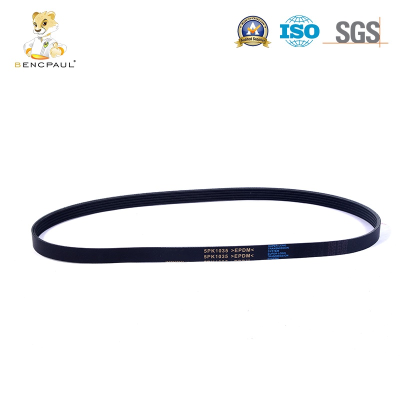Automotive Engine Belt