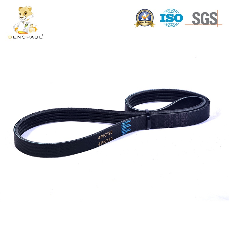Serpentine Belt