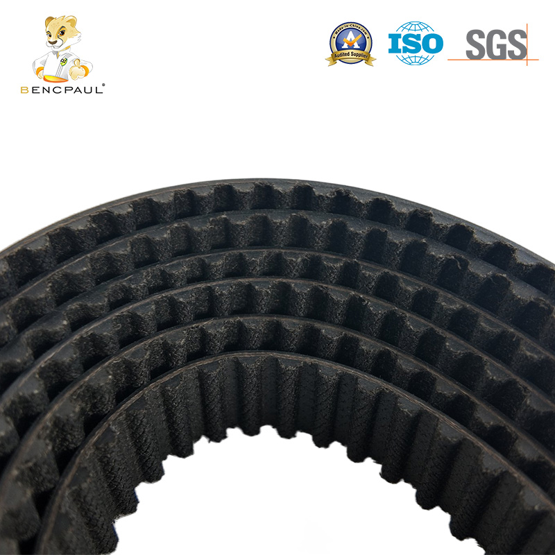 Drive Belt