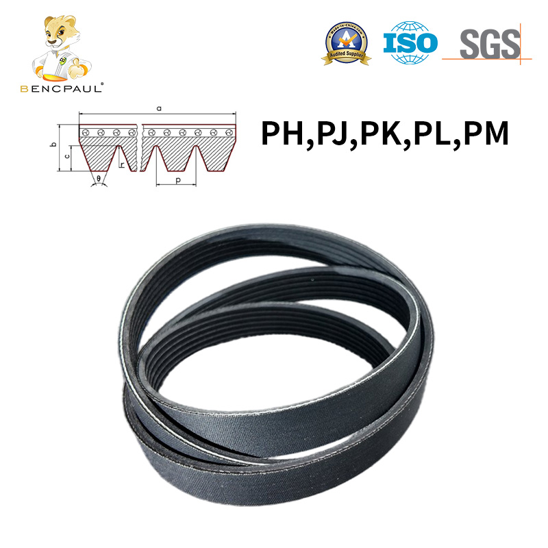Automotive Belt