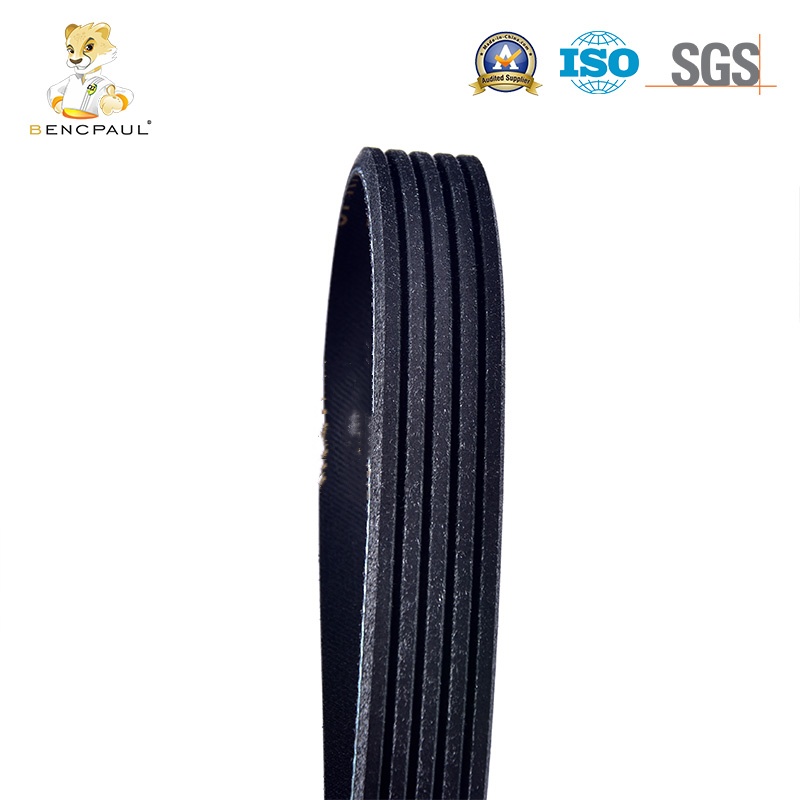 Fan Belt