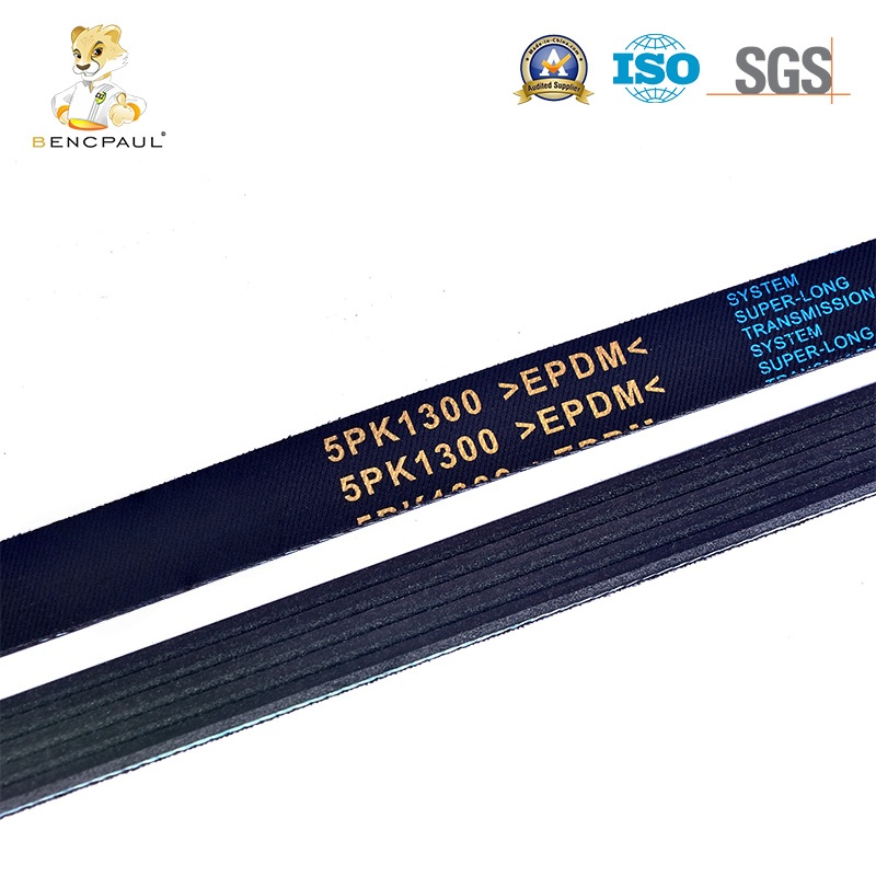 Poly V Drive Belt