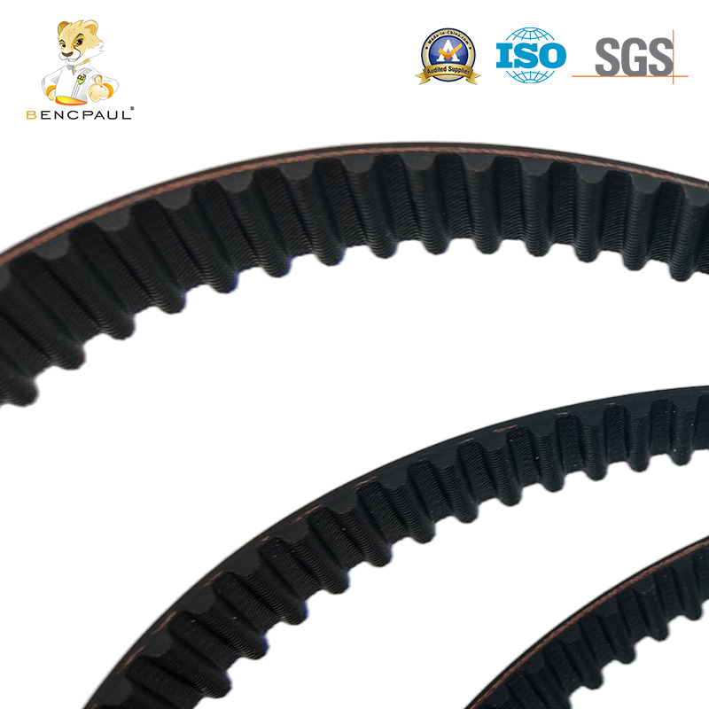 Automotive Timing Belt