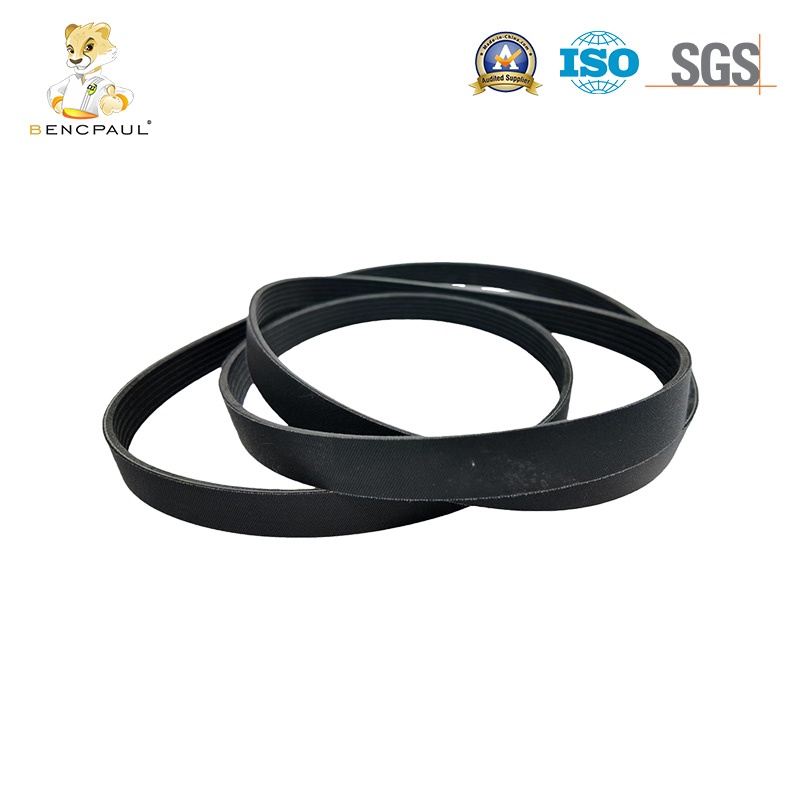 Automotive Engine Belt