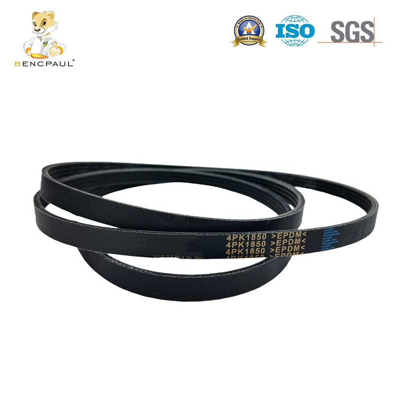 Automotive Belt