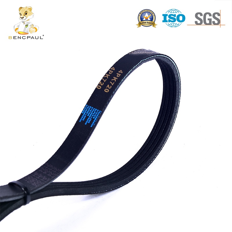 Serpentine Belt