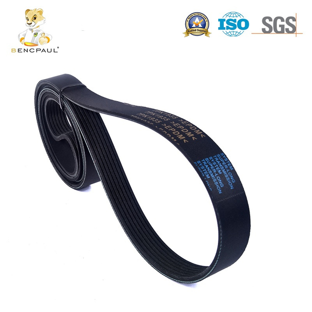 Engine Fan Belt