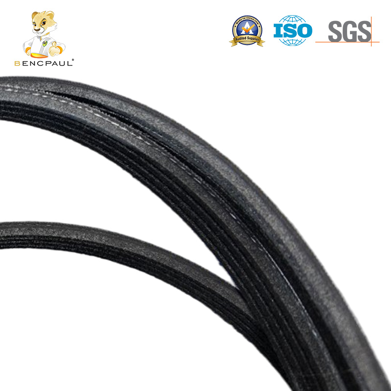 Serpentine Belt