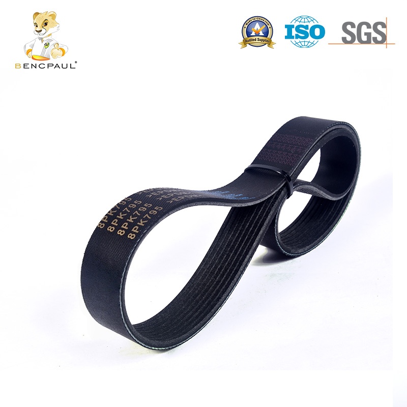Commercial Vehicle Drive Belt
