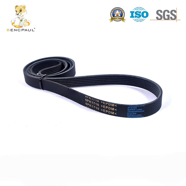 Serpentine Drive Belt