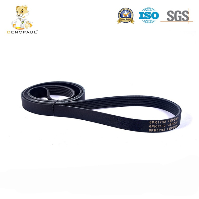 Poly V Drive Belt