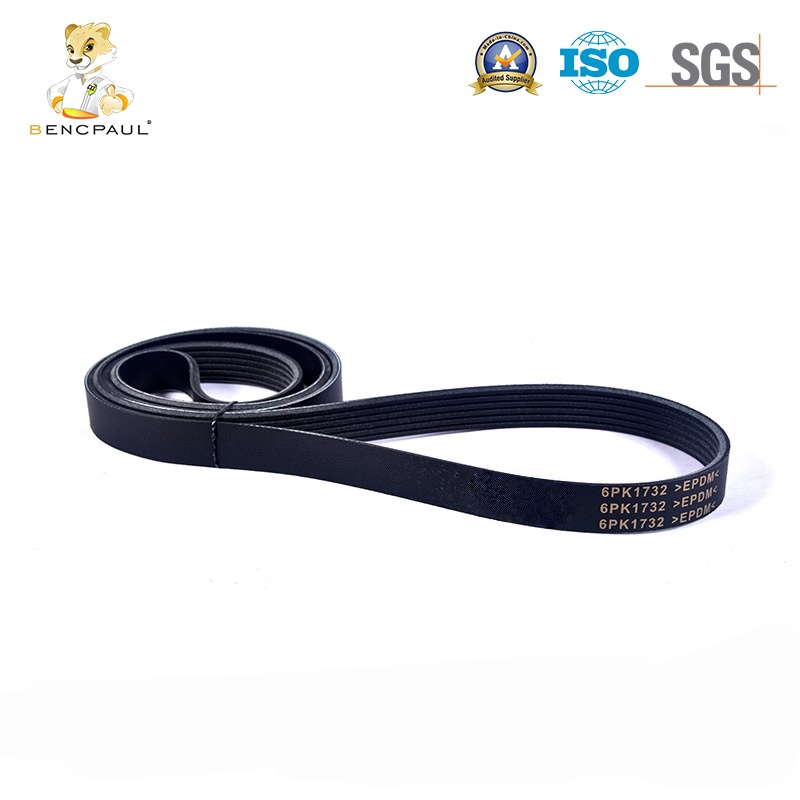 Poly V Drive Belt