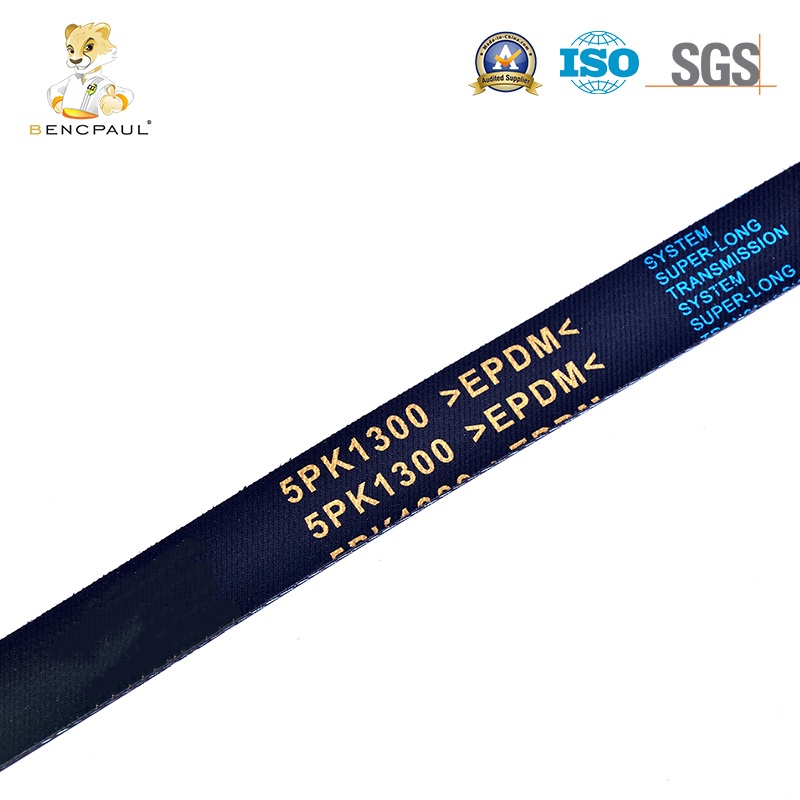 Engine Auxiliary Belt