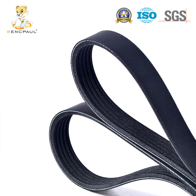 Drive Belt