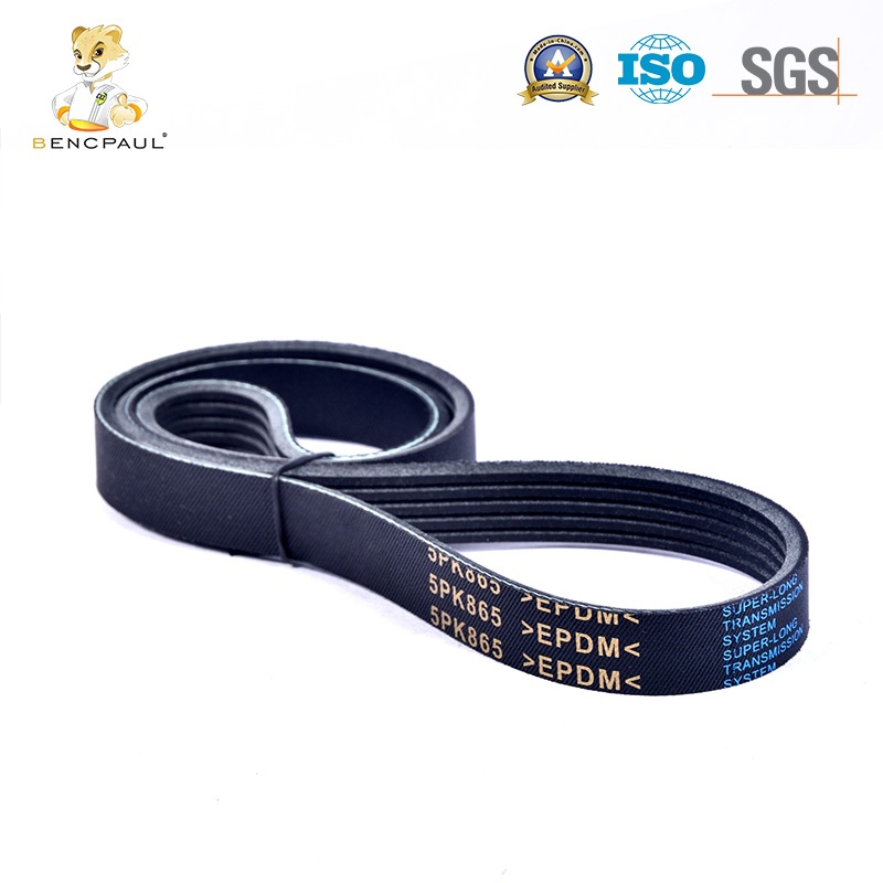 Serpentine Belt