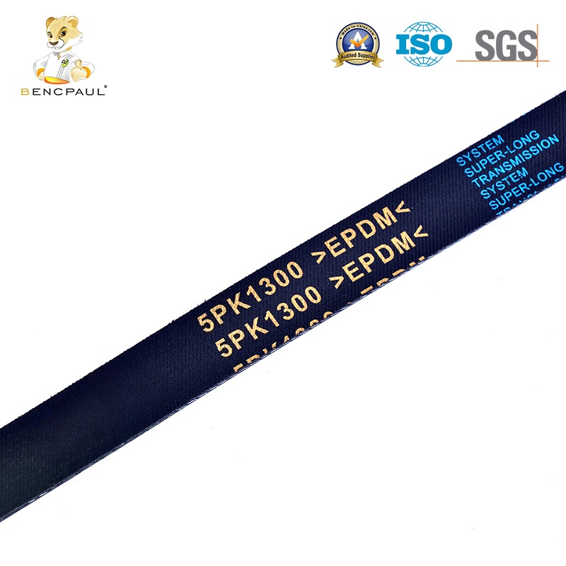 Fan Belt