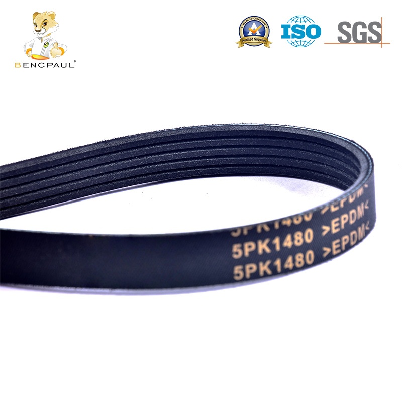 Drive Belt