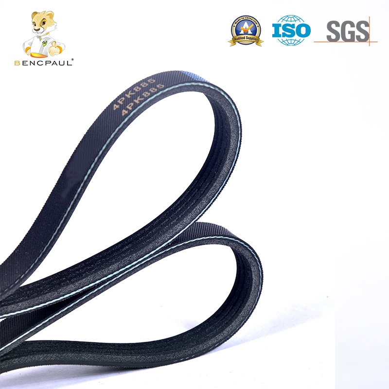 Automotive Belt