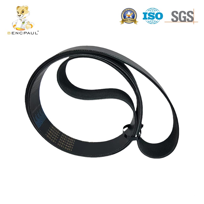 Car Serpentine Belt