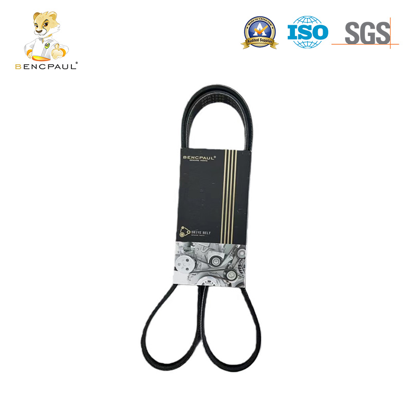 Automotive Serpentine Belt