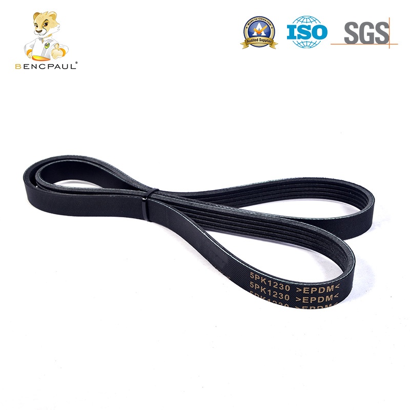 Engine Auxiliary Belt