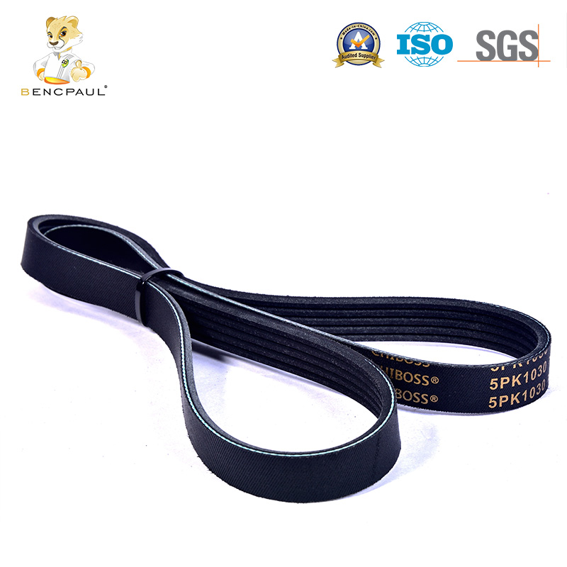 Drive Belt