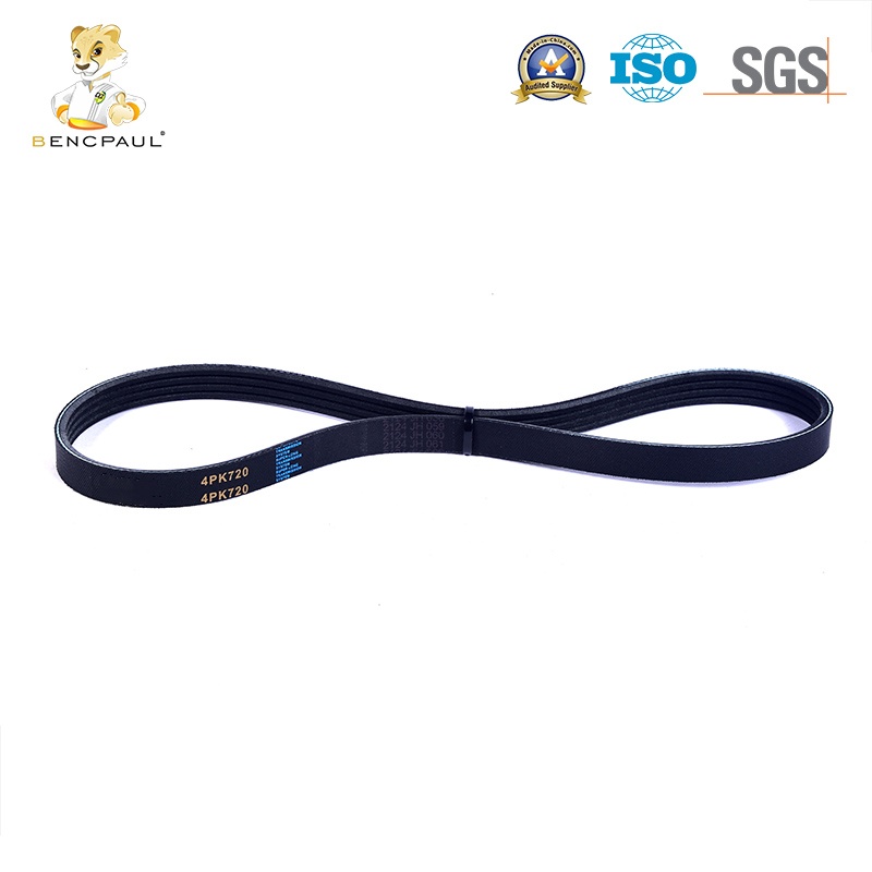 Serpentine Belt