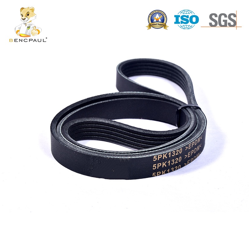 Drive Belt