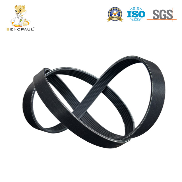 Engine Drive Belt