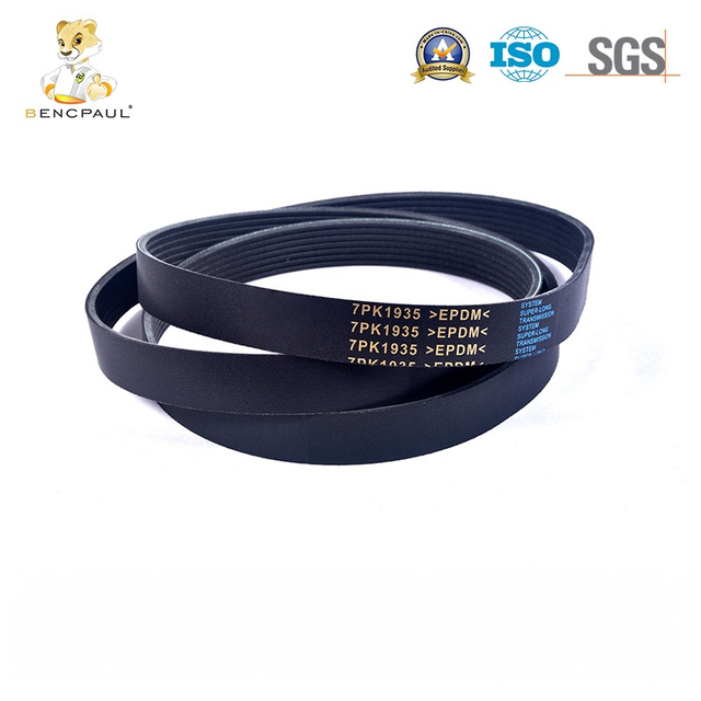 Drive Belt