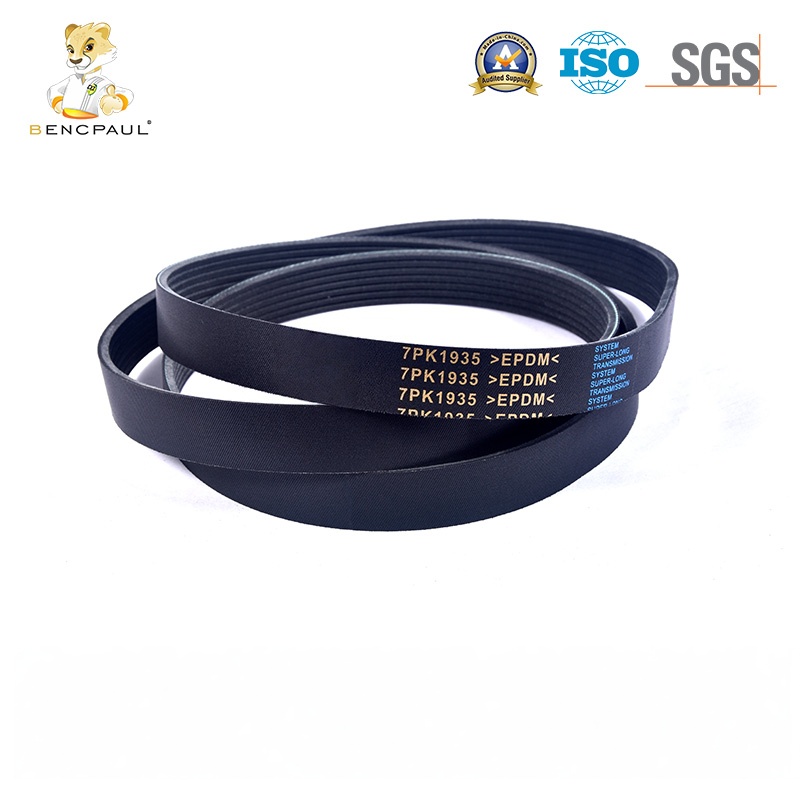 Drive Belt