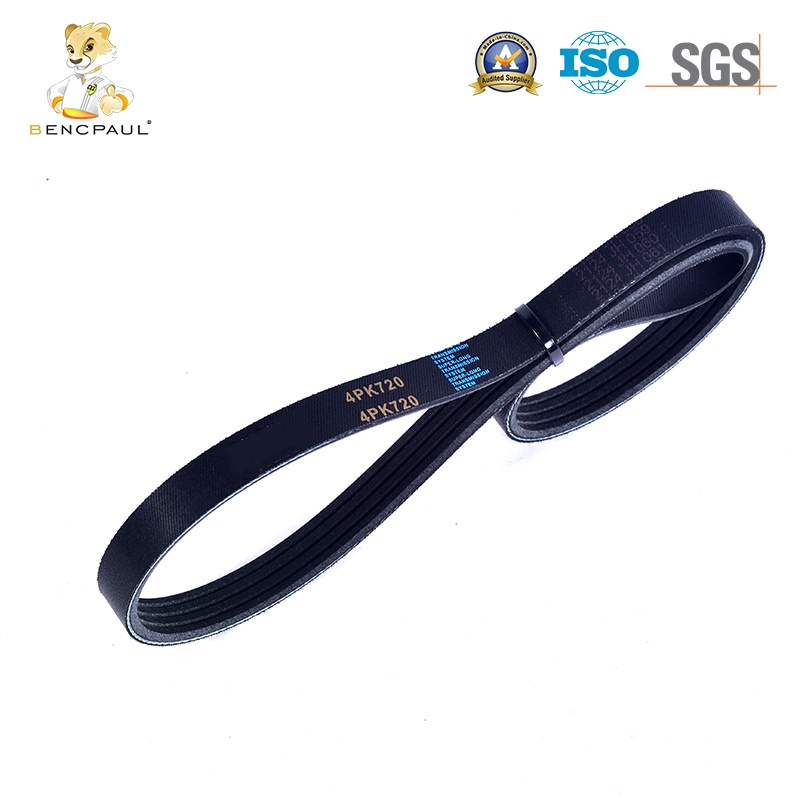 Serpentine Belt