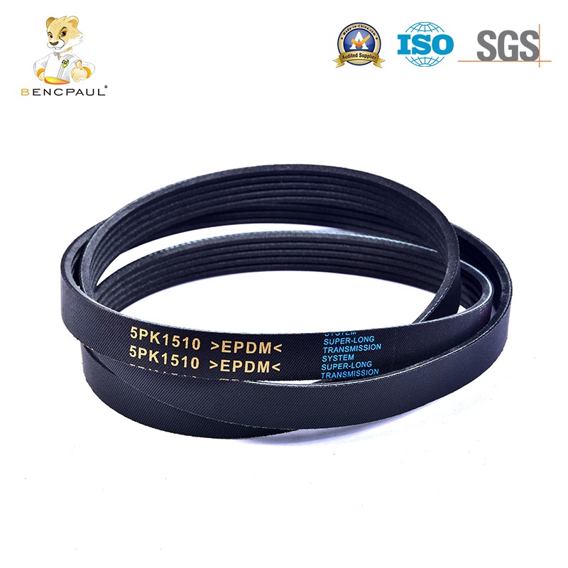 Drive Belt