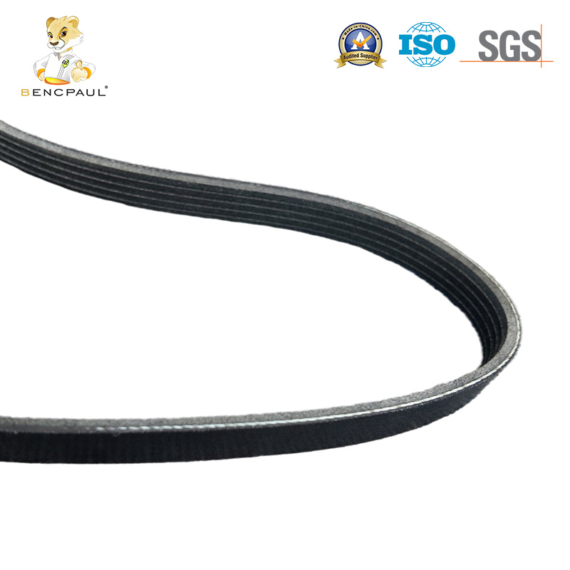 Poly V Belt