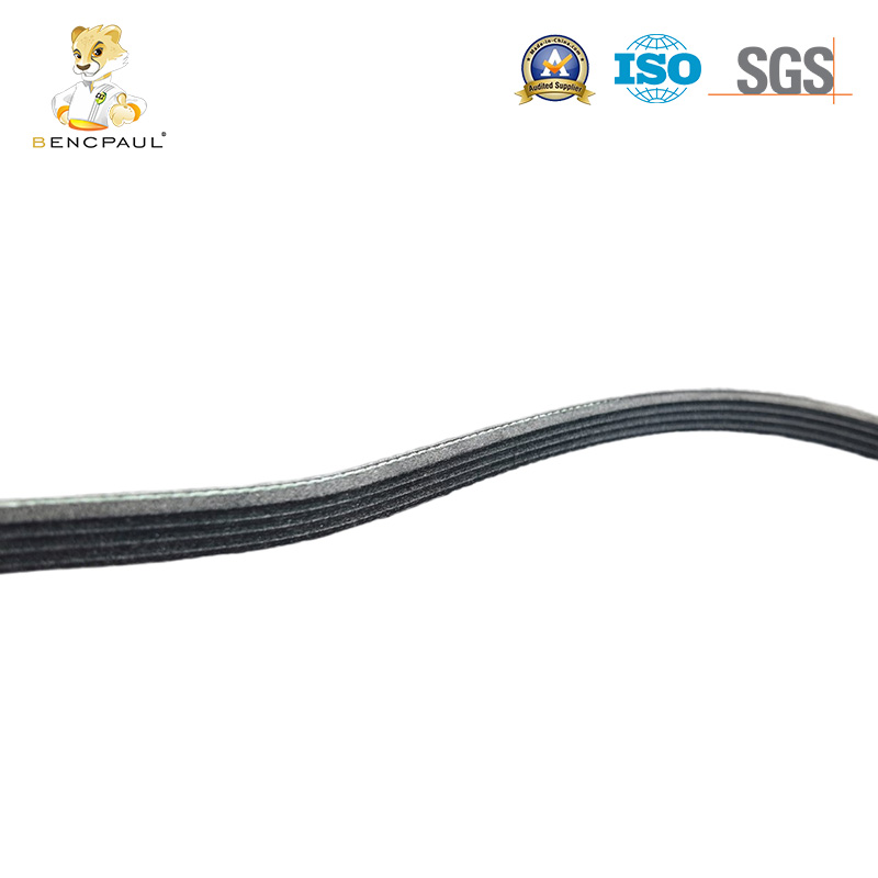 Ribbed Belt