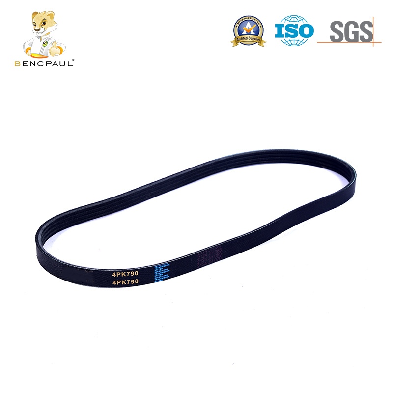 Automotive Drive Belt