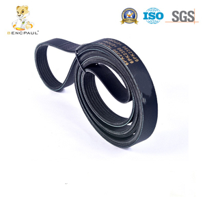 Ribbed Belt