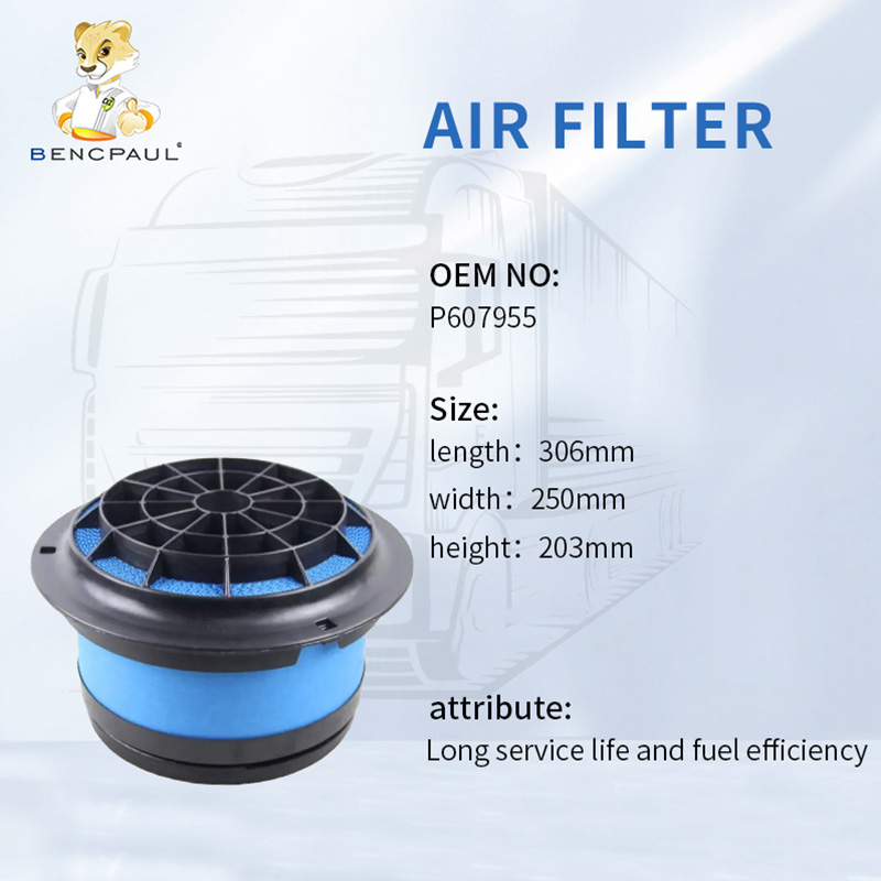 Air Filter P607955
