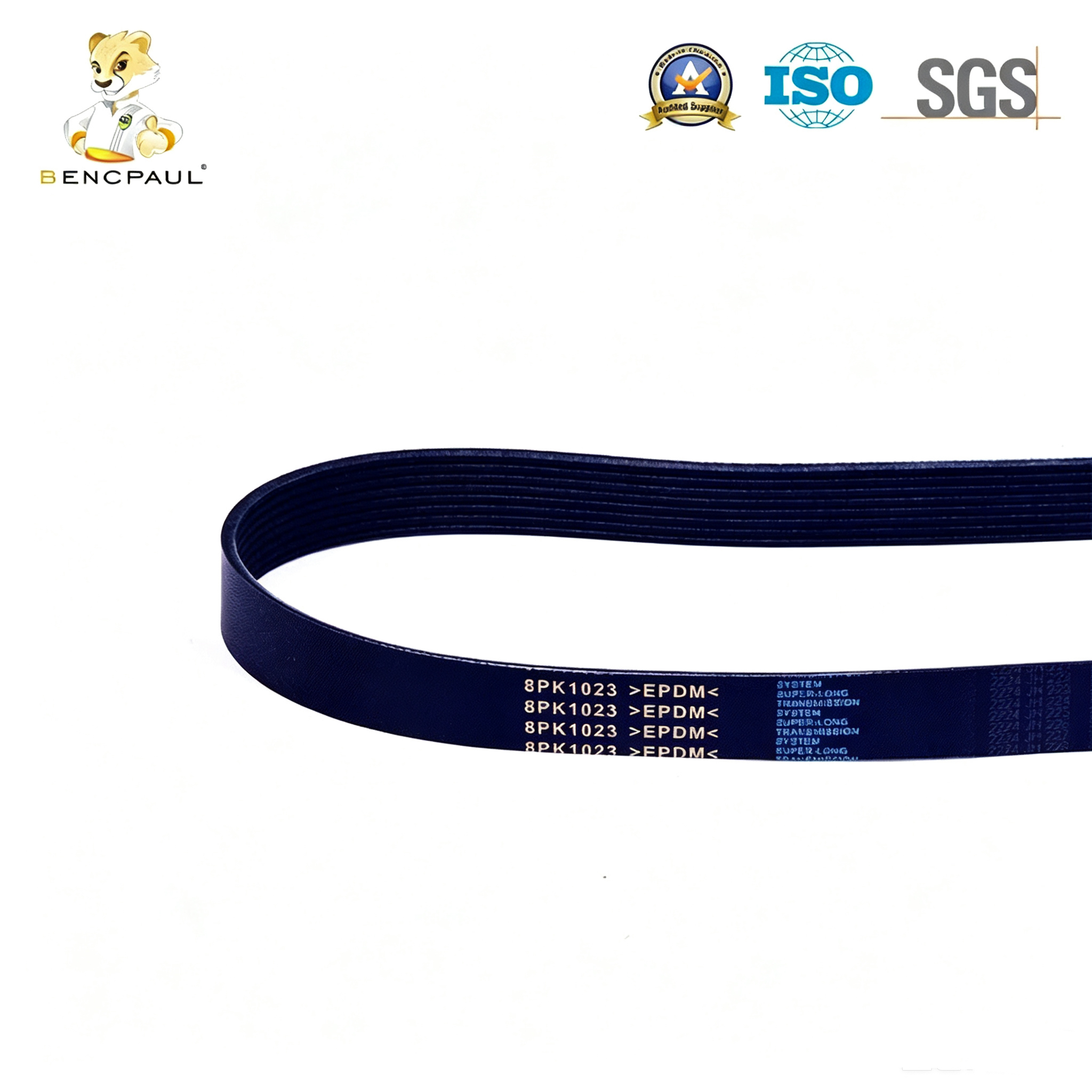Ribbed Belt