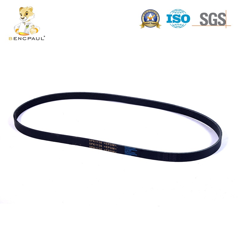 Engine Auxiliary Belt