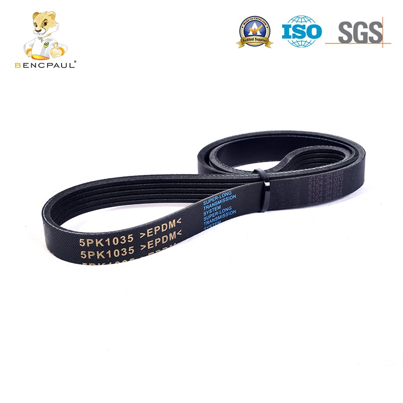 Serpentine Belt