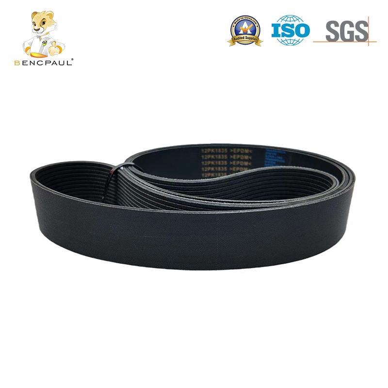 Automotive Belt