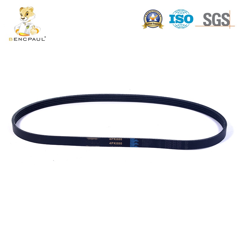 Automotive Belt