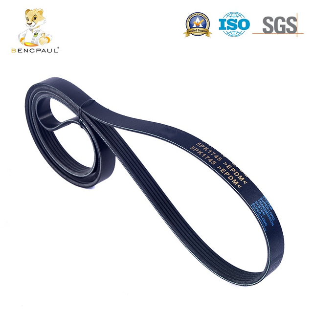 Drive Belt