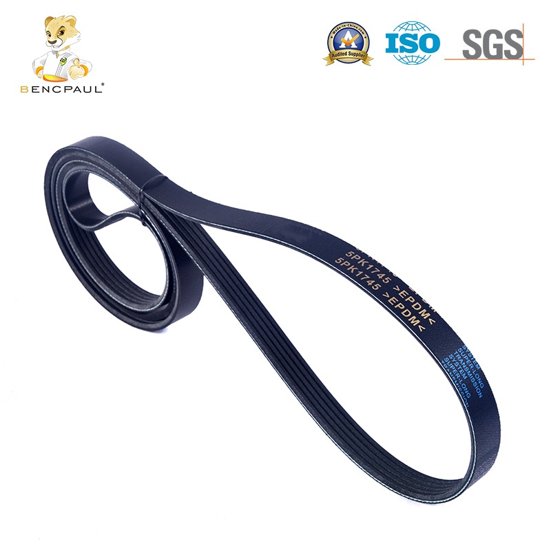 Drive Belt