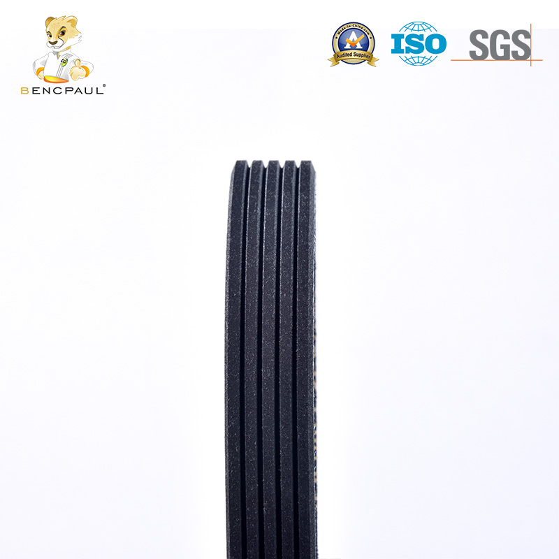 Serpentine Belt