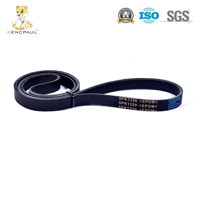 Drive Belt
