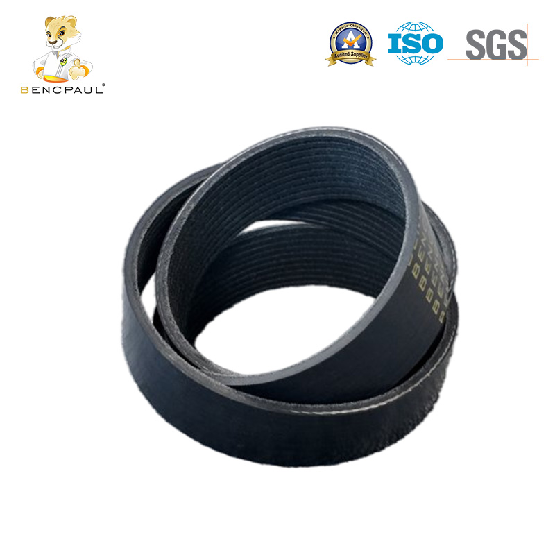 Serpentine Belt