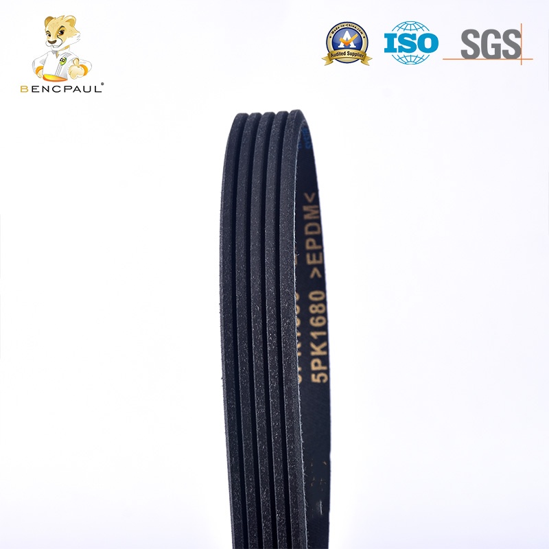 Car Serpentine Belt