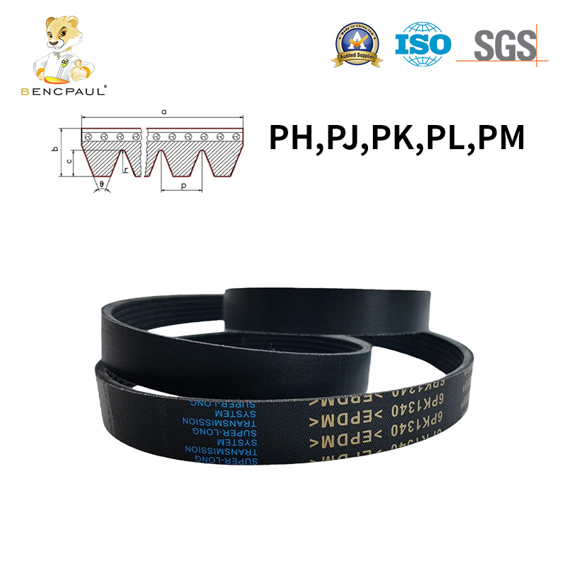 Engine Auxiliary Belt